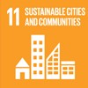 SDG 11