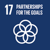 SDG 17