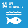 SDG 14