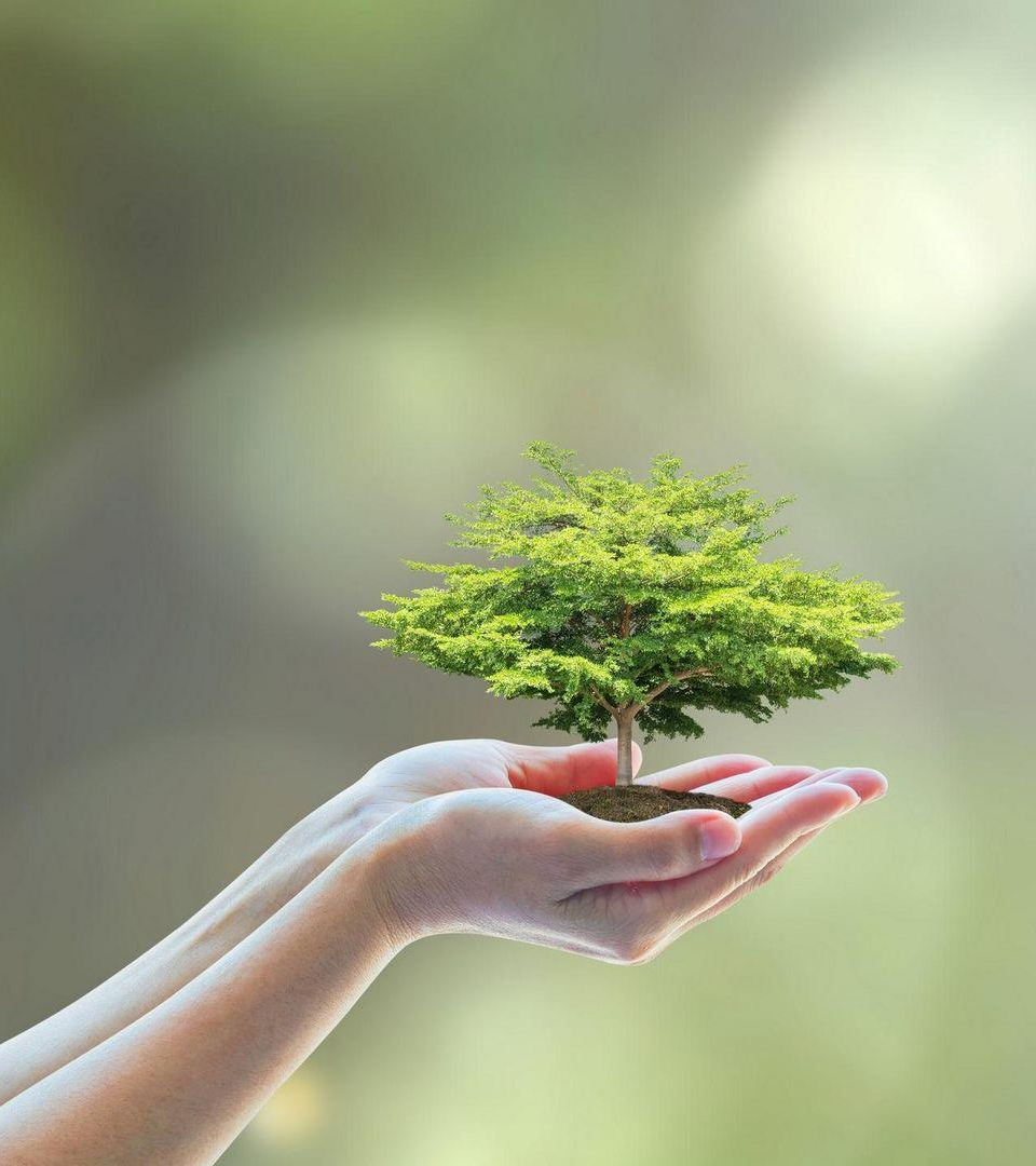 Sustainabiity Initiative