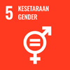SDG 5