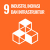 SDG 9