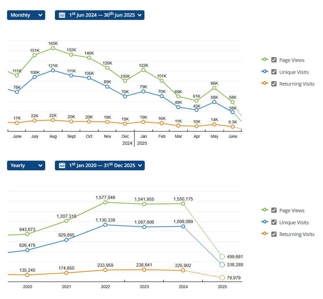 Web Statistic June 2025